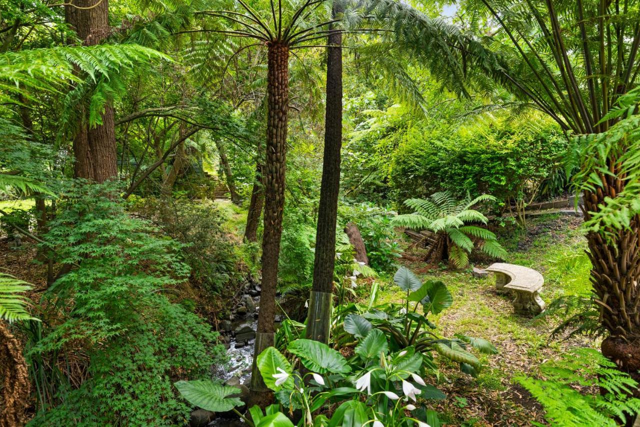 Paddys Creek Retreat Villa Upwey Eksteriør billede